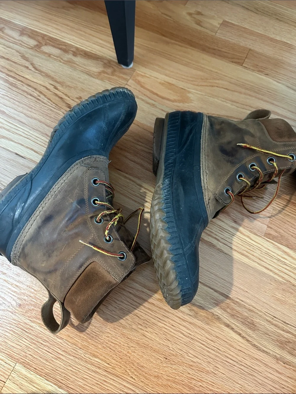 Sorel men lace